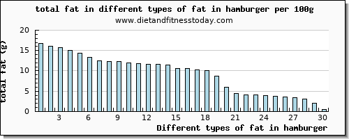 fat in hamburger total fat per 100g